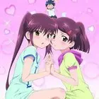 《kiss×sis 亲亲姐姐》：禁忌之恋的青春物语