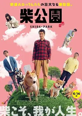 《柴犬公园》：萌犬治愈日常，都市人的心灵慰藉，不只是可爱！