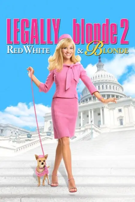 《律政俏佳人2》：艾莉重返校园，用智慧与魅力征服法律界，笑料百出又励志！