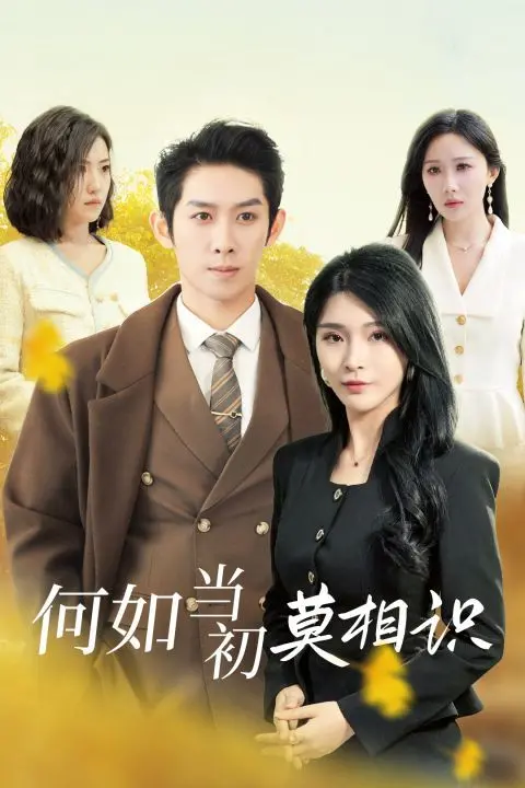 《何如当初莫相识》：一场跨越山海的浪漫告白，用爱与侣行治愈一切！